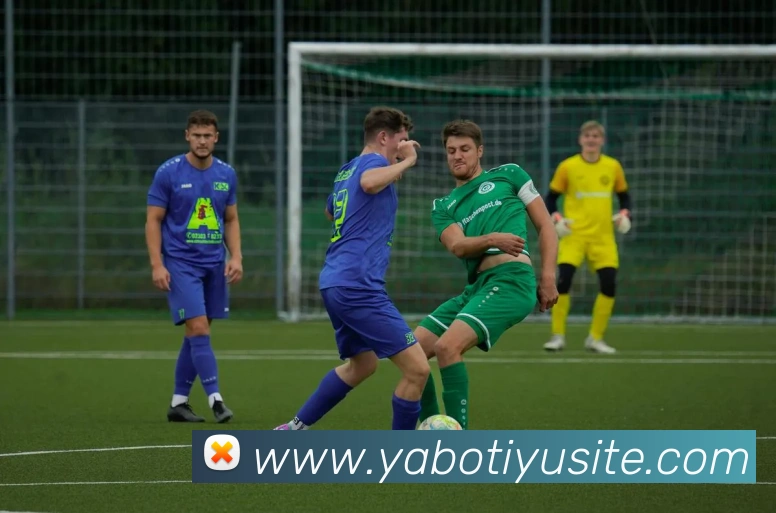 App Interface Preview